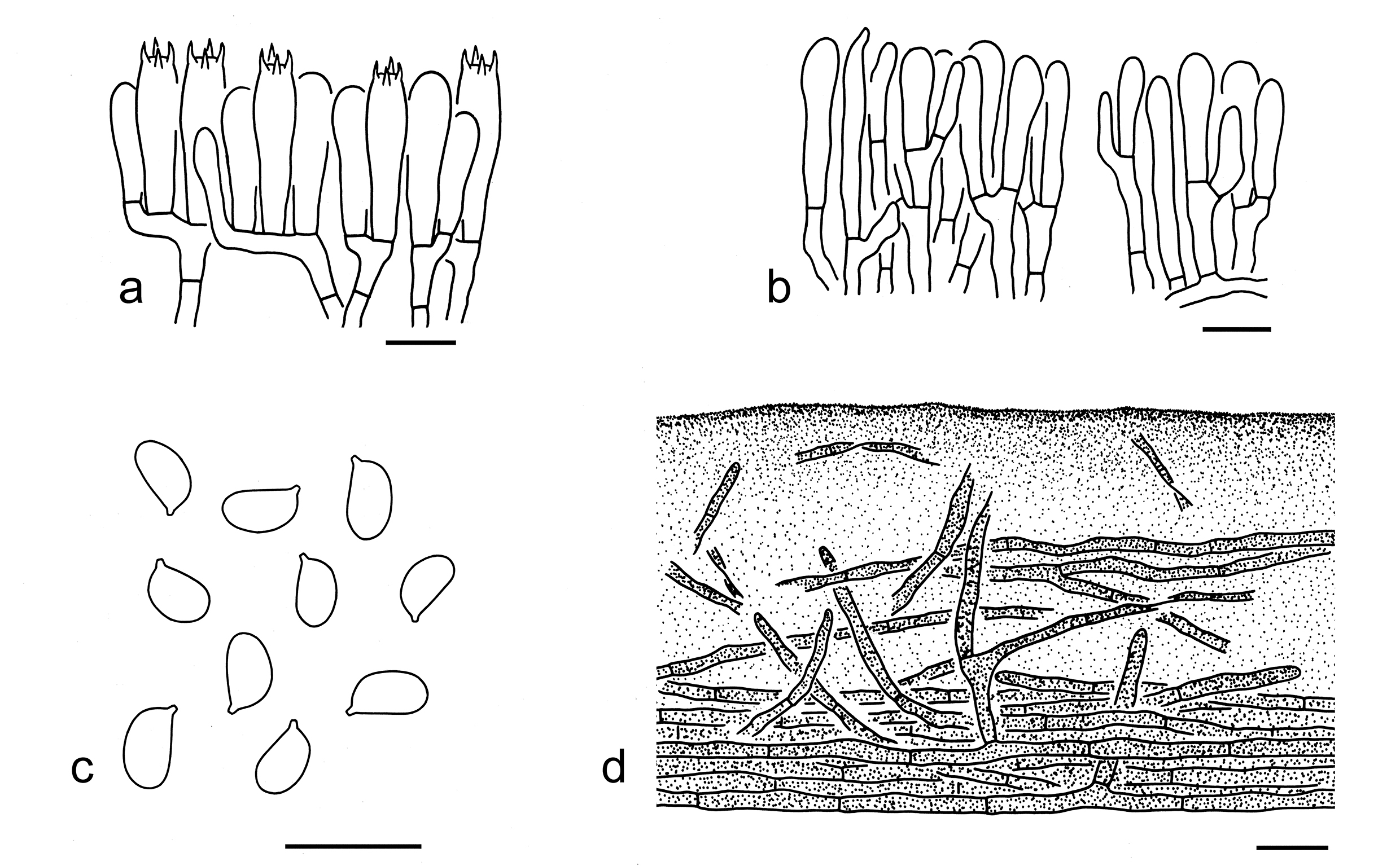 Figure 49